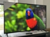 Imagine Televizor LG LED 55P75003LF 139CM SMART 4K UHD 